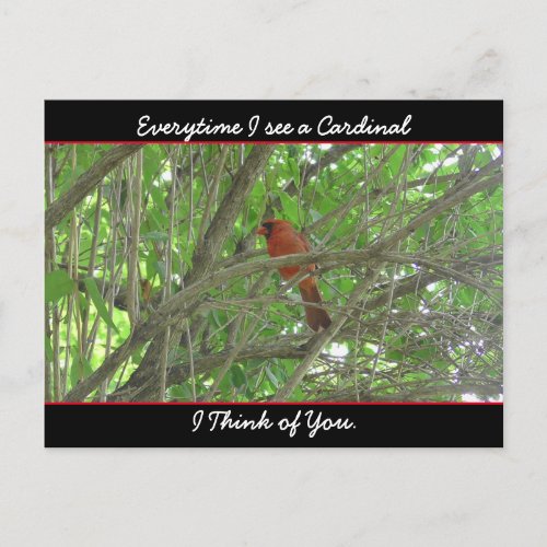 Everytime I see a Cardinal I think of You Postcard