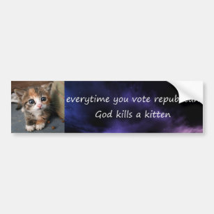 everytime you vote republican bumper sticker