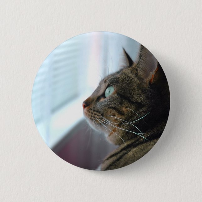Evey the Kitty contemplates outside Button (Front)