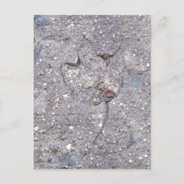 Evidence of Autumn - Leaf Card (Front)