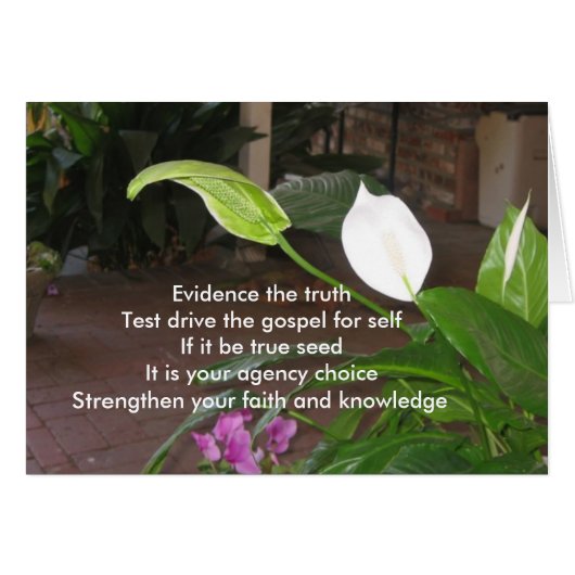 Evidence The Truth (Front Horizontal)