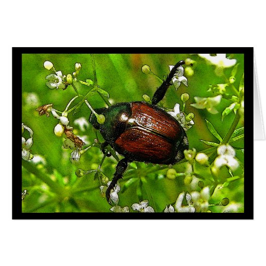 Evil Beauty Japanese Beetle Insect Cards (Front Horizontal)