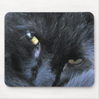 Evil Cat Mousepad