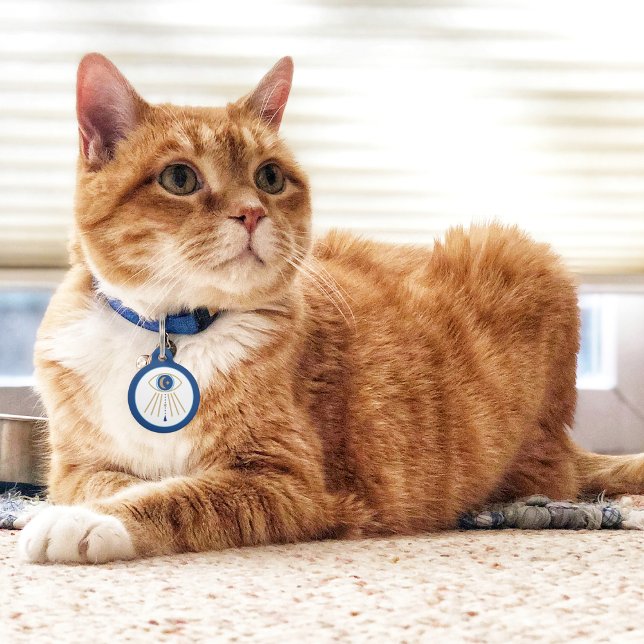 Evil Eye Moon Pet Tag (Creator Uploaded)