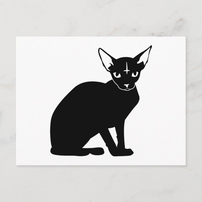 Evil Kitty Postcard (Front)