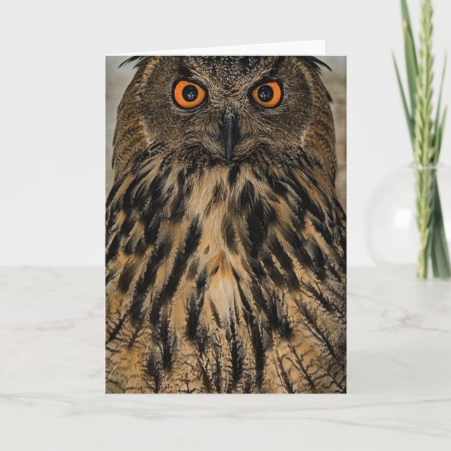 Evil looking owl card (Front)