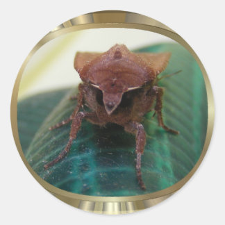 Evil Moth 1 ~ sticker