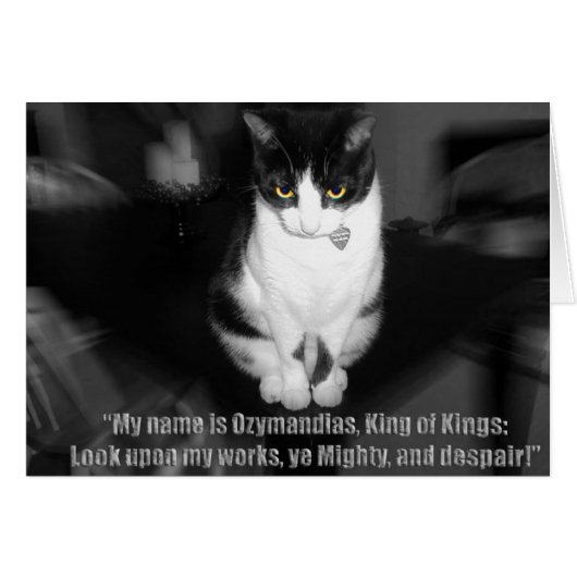 evil oz (Front Horizontal)