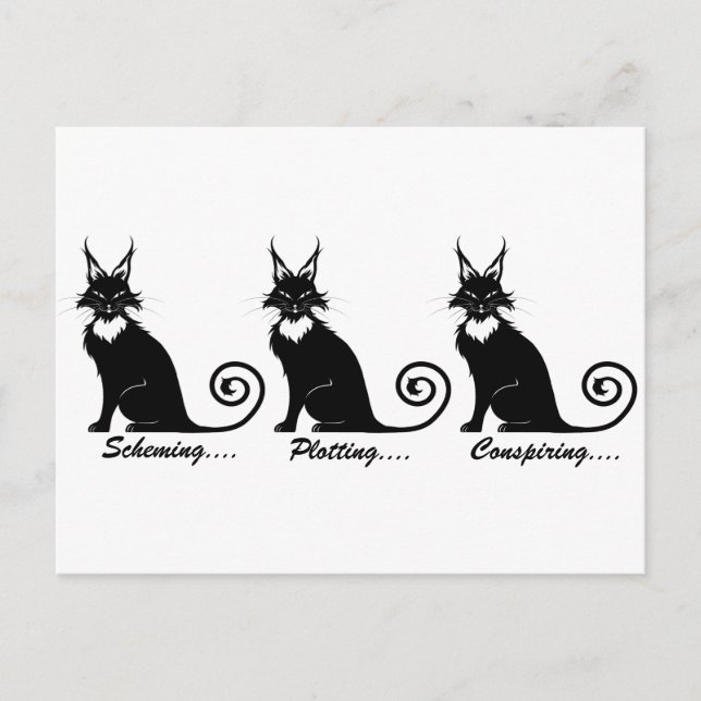 Evil Plotting Cat Trio Postcard (Front)