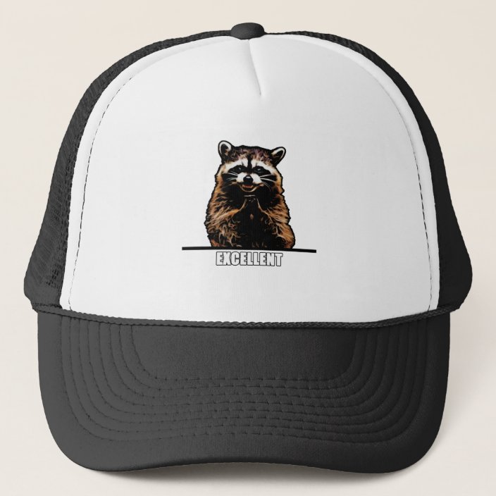 raccoon baseball cap