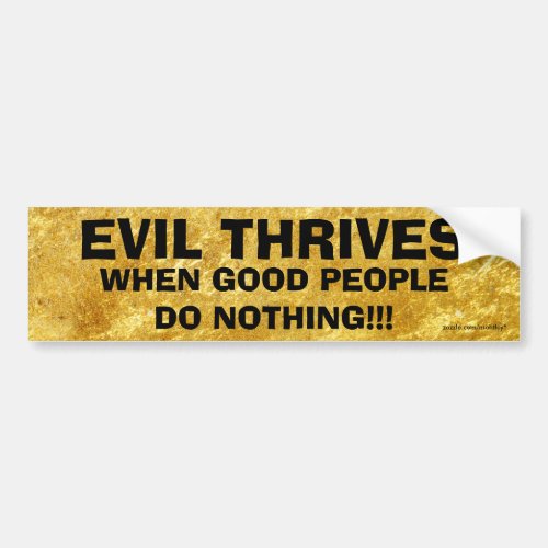 Evil Thrives when good people do nothing Bmprstkr1 Bumper Sticker