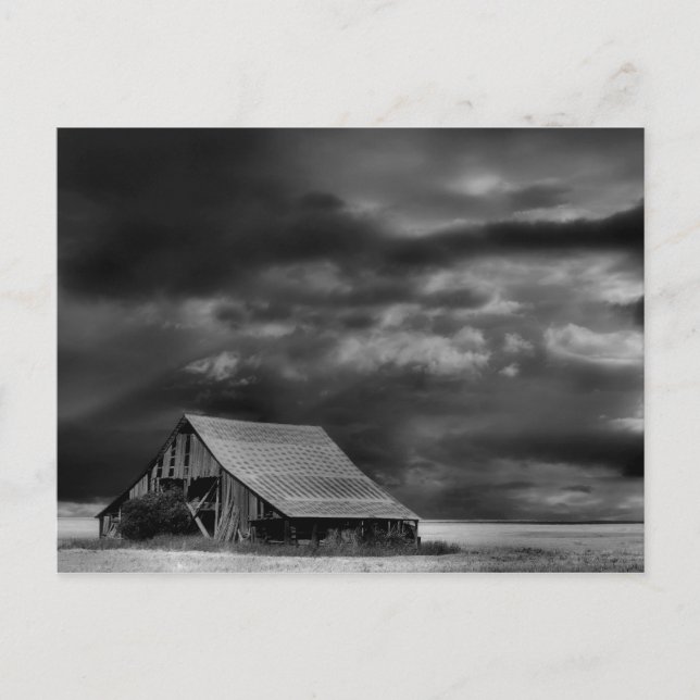 Evocative Beauty Post Card (Front)