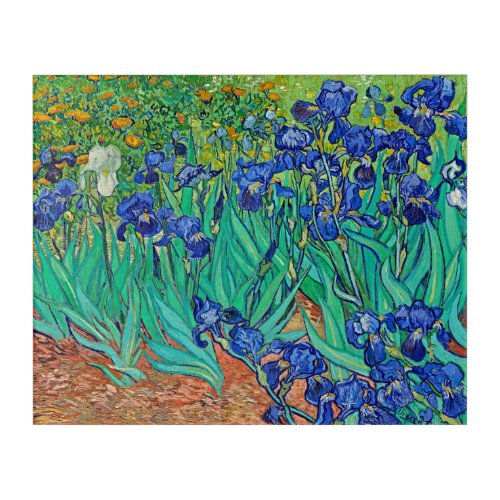 Evoke the Essence of Van Gogh Irises on Acrylic Print