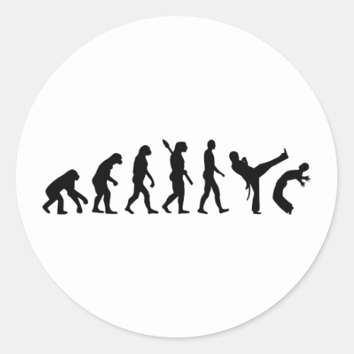 Evolution Capoeira Classic Round Sticker