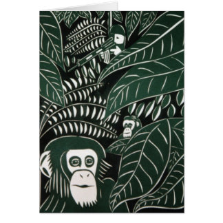 Evolution Cards