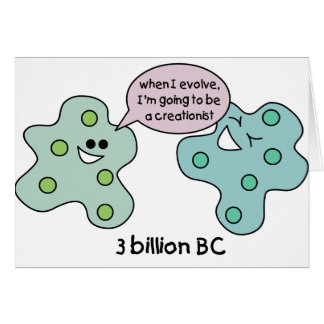 Evolution Cards