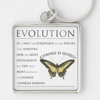 Evolution Change Keychain