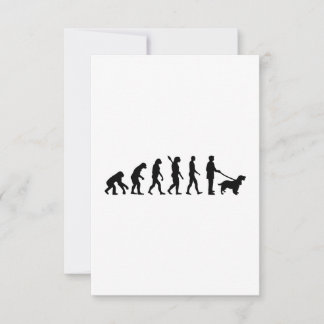 Evolution Cocker Spaniel
