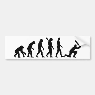 Evolution Cricket Bumper Sticker
