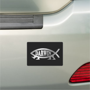Evolution - Darwin Car Magnet