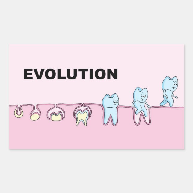 Evolution Dentistry Sticker (Front)