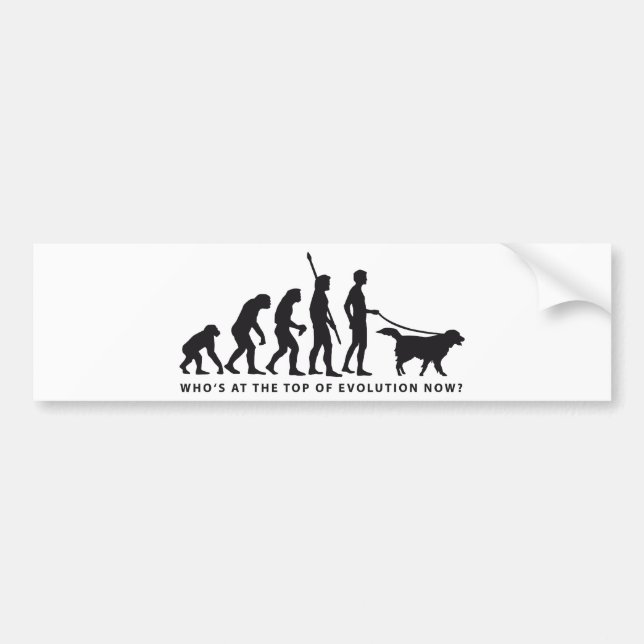 evolution dog bumper sticker (Front)