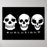 Evolution? Human To Alien Skull Poster at Zazzle