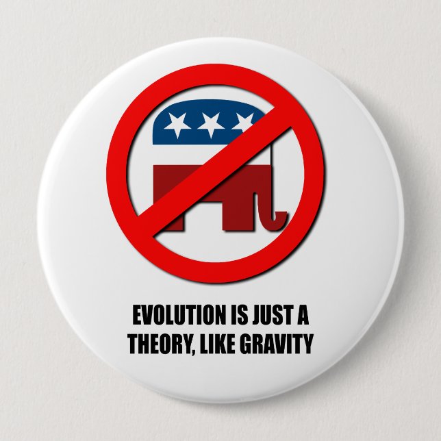 Evolution is just a theory like gravity pinback button (Front)