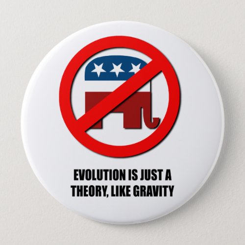 Evolution is just a theory like gravity pinback button