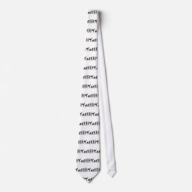 Evolution Karate kickboxing Tie (Front)