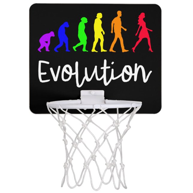 Evolution Mini Basketball Hoop (Front)