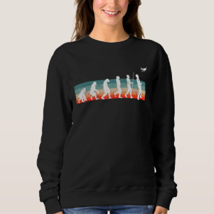 Evolution Model Flight Rc Aeroplane Aviator Sweatshirt