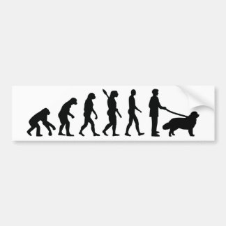Evolution Newfoundland Bumper Sticker
