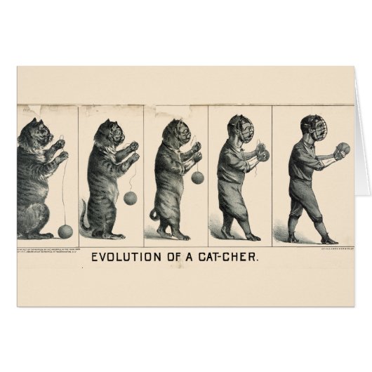 Evolution of a Cat-cher Cards (Front Horizontal)