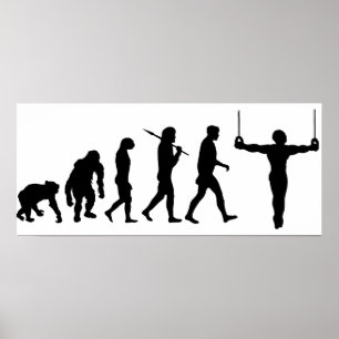 Evolution of Gymnastics Gymnasts Sports Fan Poster