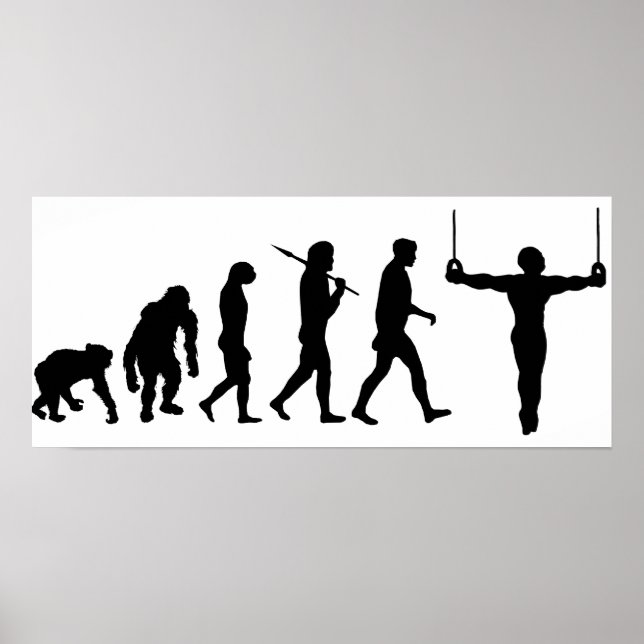Evolution of Gymnastics Gymnasts Sports Fan Poster (Front)