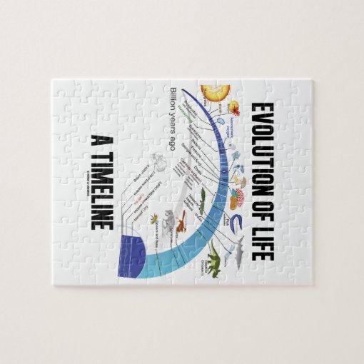 Evolution Of Life A Timeline (Biology) Jigsaw Puzzle Zazzle