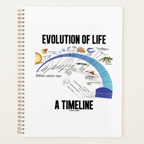 Evolution Of Life A Timeline Biology Planner