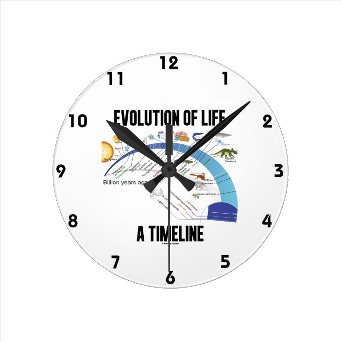 Evolution Of Life A Timeline (Biology) Round Clock