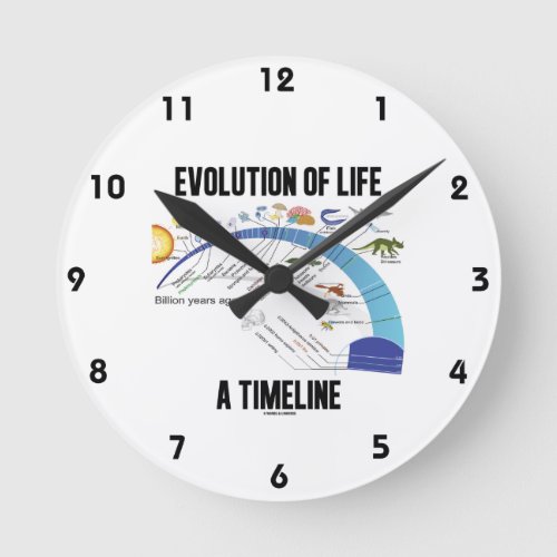 Evolution Of Life A Timeline Biology Round Clock