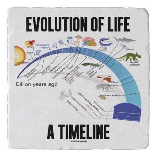 Evolution Of Life A Timeline Biology Trivet
