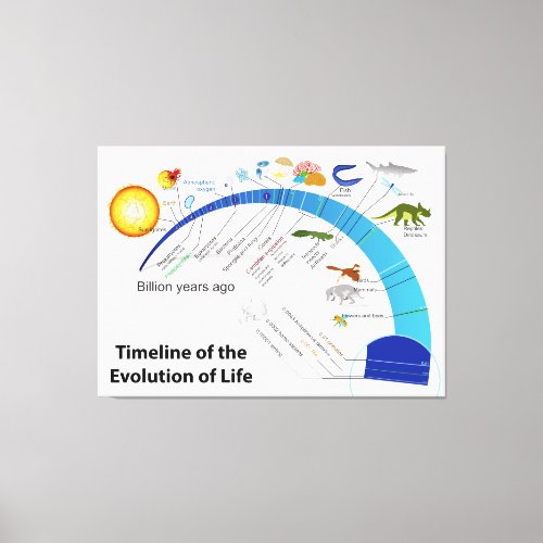 Evolution of Life on Earth Timeline Diagram Canvas Print