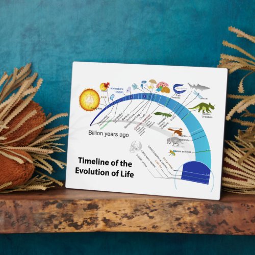 Evolution of Life on Earth Timeline Diagram Plaque