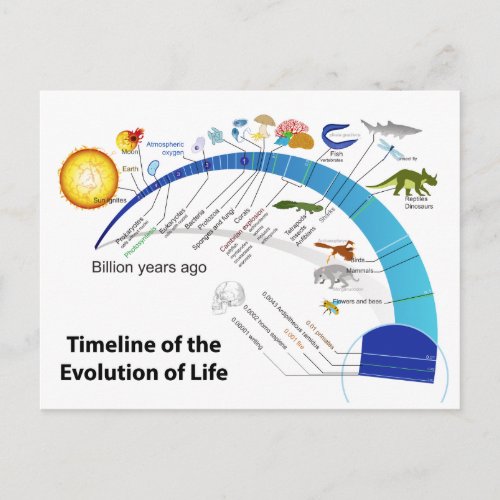Evolution of Life on Earth Timeline Diagram Postcard