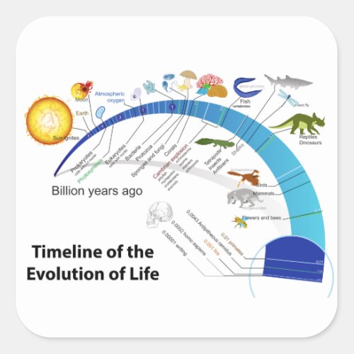 Evolution of Life on Earth Timeline Diagram Square Sticker