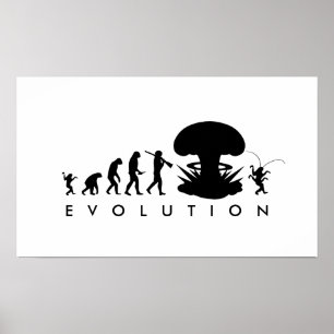 Evolution of Man & Cockroach Funny Evolution Chart