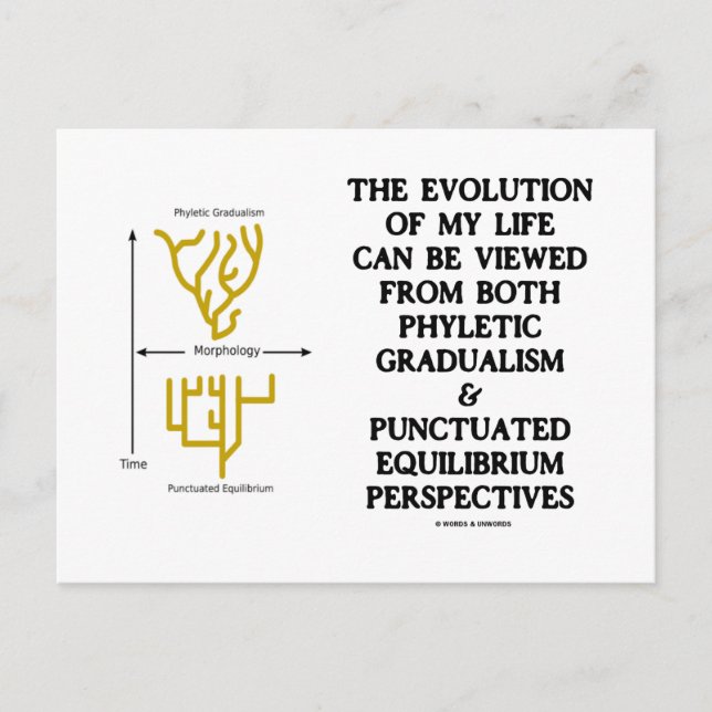 Evolution Of My Life Phyltc Grdlism Punctd Equlbra Postcard (Front)
