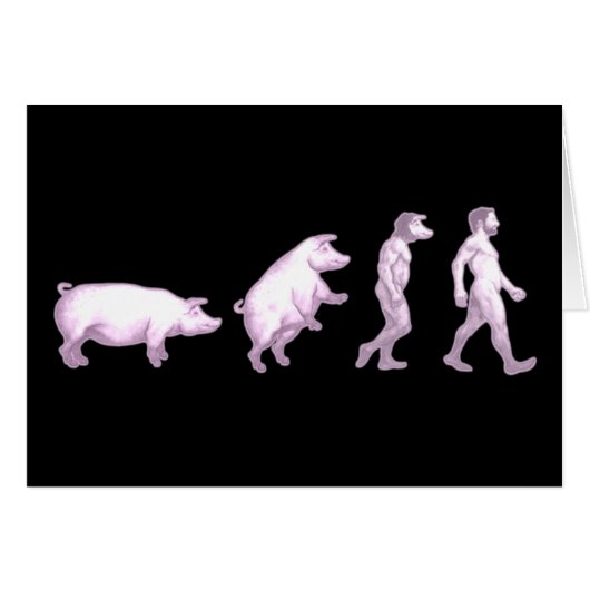 Evolution of pigs cards (Front Horizontal)