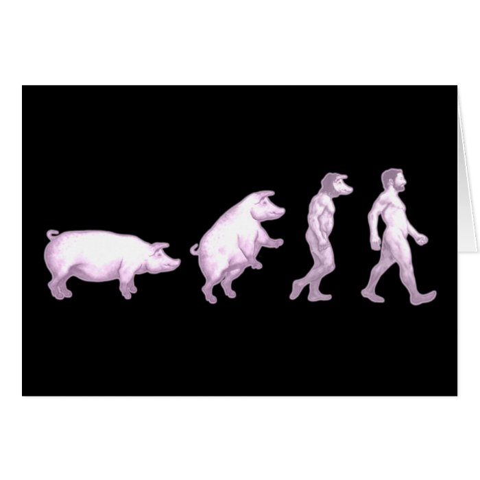 Evolution of pigs greeting cards