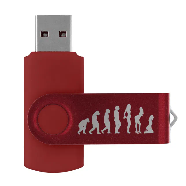 Evolution of Women Funny USB Flash Flash Drive Zazzle